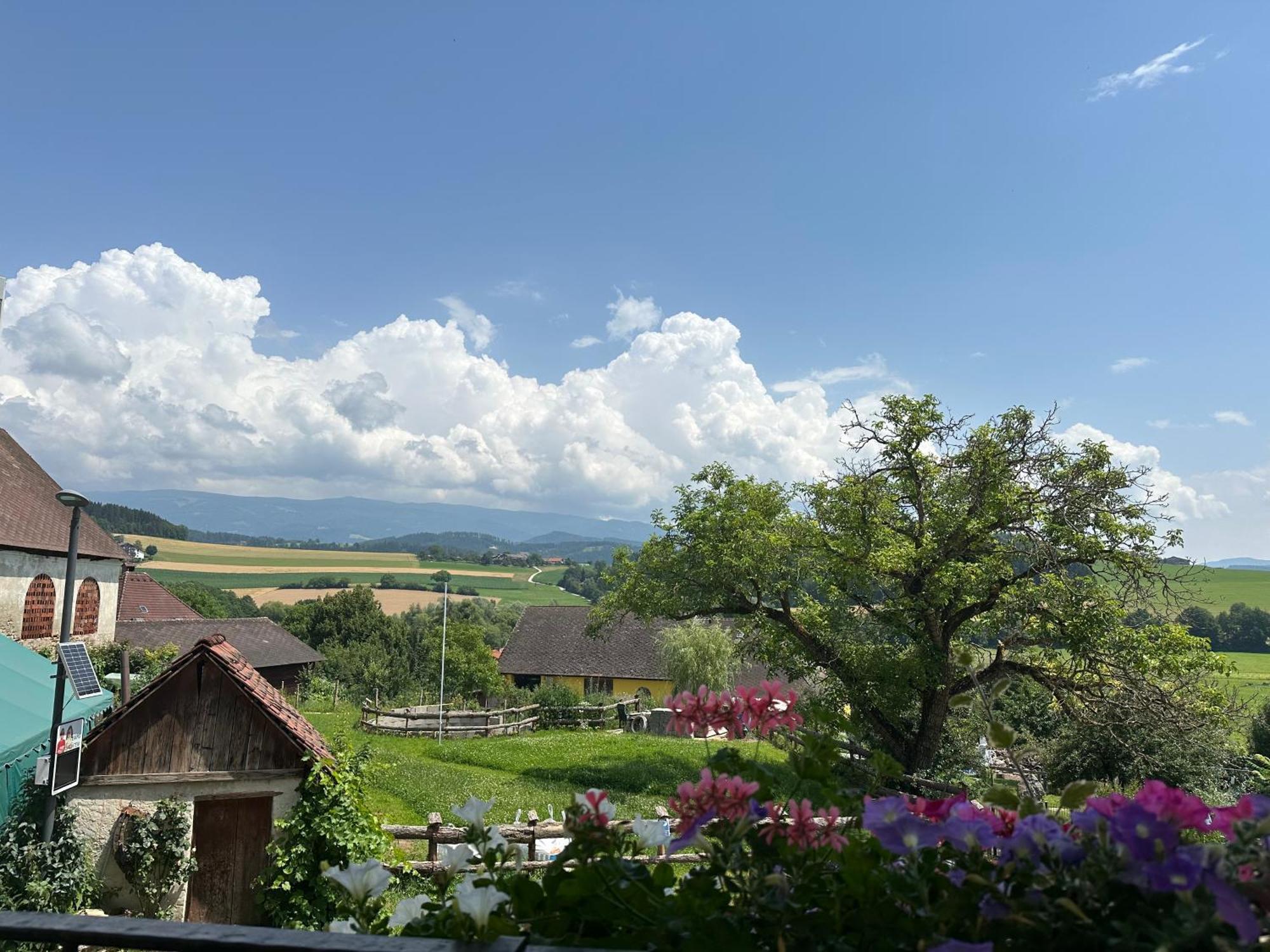 Gasthof Winkelwirt 알트호펜 외부 사진